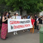 România 2014: Libertatea de exprimare, garantată de Constituție, se câștigă în instanță printr-un viciu de procedură protest-mircea toma